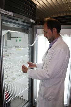 El investigador Óscar Lorenzo, en las cámaras que guardan las semillas.