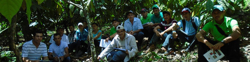 Pequeños productores de Honduras, El Salvador y Nicaragua. FOTO: CATIE