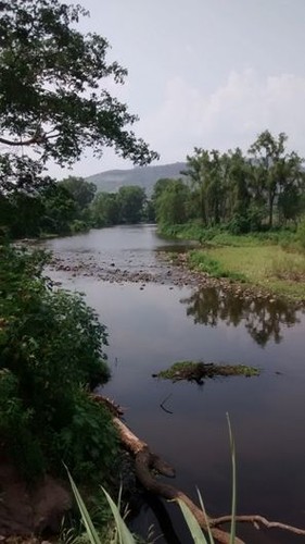 Río Choluteca tras de su paso por Tegucigalpa en condiciones anóxicas.