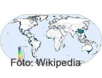 Distribución mundial de la epidemia de quitridiomicosis.
