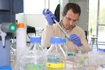 Luis Sanz, en el laboratorio.
