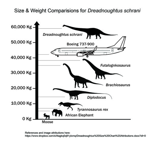 Comparación del tamaño de Dreadnoughtus. 