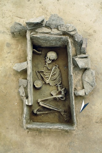 Mujer joven enterrada en el sitio de Rothenschirmbach, asociado a la cultura campaniforme del Neolítico Tardío, Sajonia-Anhalt, Alemania. Credit: LDA Sachsen-Anhalt