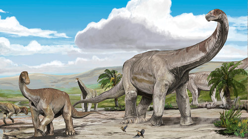 Ilustración de los dinosaurios hallados. Crédito: Jorge Blanco/ Fotos de campaña brindadas por gentileza del investigador.