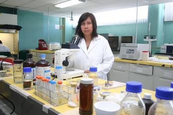 En el Departamento de Bioquímida de la Facultad de Medicina, la investigadora Maura Cárdenas analiza las propiedades antidiabéticas del cilantro.