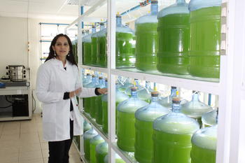 La investigadora del Centro de Bioinnovación de la Universidad de Antofagasta y del CICITEM, Mariella Rivas (FOTO: UA). 