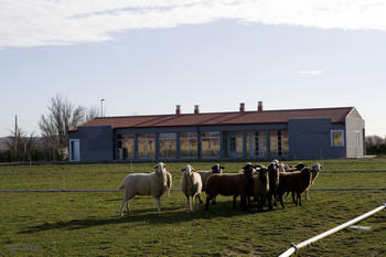 Centro de Selección Y Mejora Genética de Ovino y Caprino (Ovigén), en la localidad zamorana de Toro.