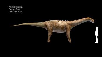 Representación artística de 'Ampelosaurus sp.' comparada con el tamaño humano. Imagen: O. Sanisidro.