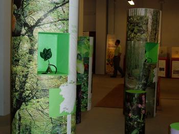 Una de las secciones de la exposición recrea un bosque en el que se propone el uso del olfato para identificar esencias