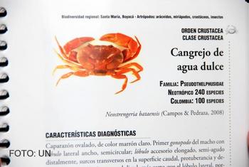 Libro con información sobre el cangrejo de agua dulce.