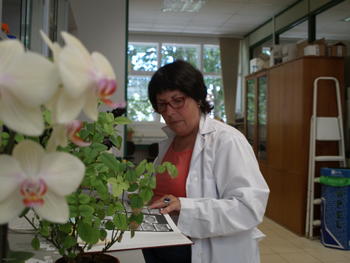 María Amor Fombella, investigadora de Paleopalinología de la Universidad de León.