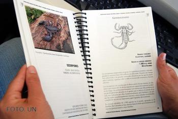Guía sobre artrópodos elaborada por la Universidad Nacional de Colombia.