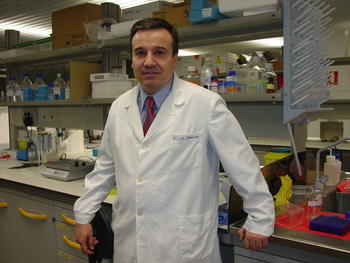 José Ramón Alonso, investigador del Instituto de Neurociencias de Castilla y León.