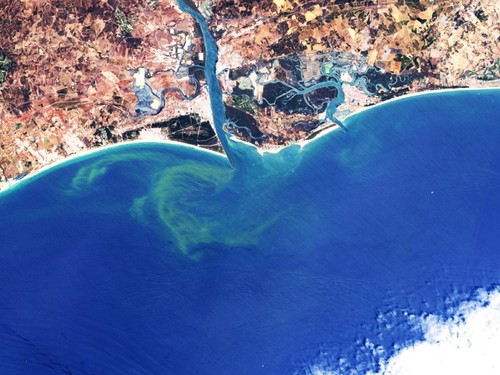 Imagen de Sentinel-2 en la que se aprecia la presencia de algas en el Golfo de Cádiz./ESA.