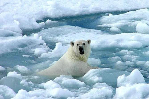 El deshielo en el Ártico permitirá la expansión de las actividades de exploración de recursos como petróleo y gas (Foto tomada de: http://ethic.es/).