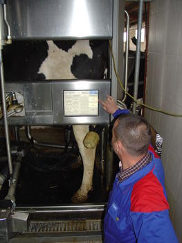 Un técnico de Agropal controla todos los parámetros mientras la vaca es ordeñada