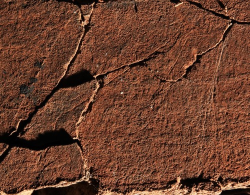 Cierva del Paleolítico, uno de los grabados de Arroyo de las Almas. Foto: Mário Reis. 
