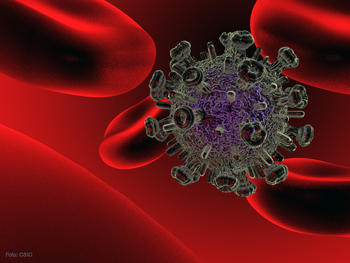 Modelo tridimensional del virus del sida. Foto: CSIC.