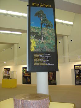 Imagen de uno de los paneles en el que se muestran los árboles
