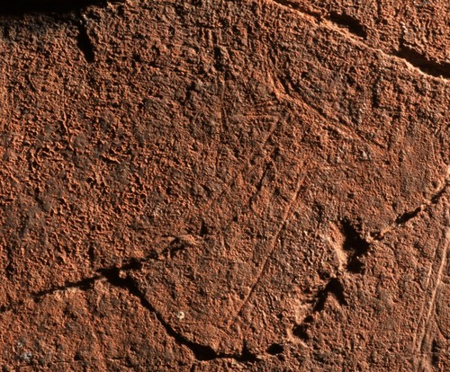 Detalle de la cabeza de una cierva del Paleolítico. Foto: Mário Reis.