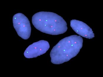 Imagen de células con mutaciones en diferentes cromosomas.
