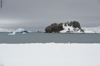Vista de la Antártida.