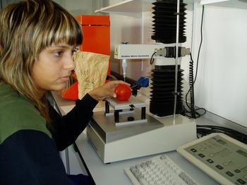 Una de las estudiantes que colabora en la investigación prepara el texturómetro para ser utilizado