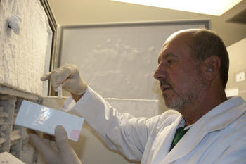 Mariano Esteban, investigador del Centro Nacional de Biotecnología (CSIC). Foto: CSIC.