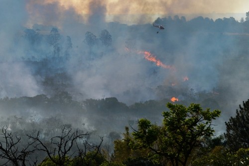 Incendio en la Amazonia/Archivo/Agência Brasil