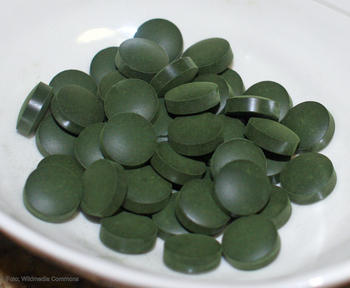Spirulina (dietary supplement) tablets are made from cyanobacteria genus Arthrospira.