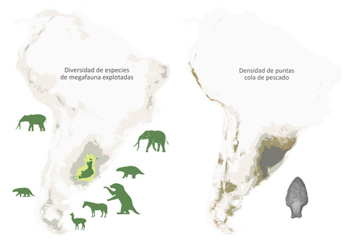 Existe una coincidencia muy fuerte entre las regiones ocupadas por la megafauna y las áreas que los cazadores con puntas Cola de Pescado eligieron para asentarse.