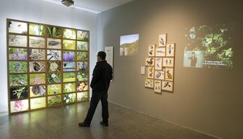 Exposición 'El Bosque Quemado' en el MEH. (FOTO: Museo).
