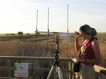 Una voluntaria investiga en La Laguna de la Nava.