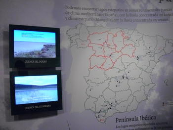 Mapa con los humedales españoles y pantallas con lagos esteparios del país y de Mongolia.