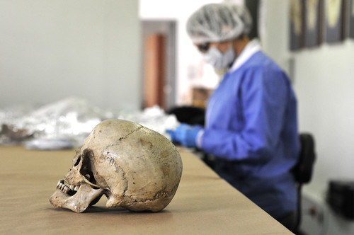 Por medio del análisis de los restos óseos se pueden conocer datos demográficos de los antepasados/UN