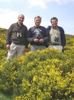 Los tres miembros del equipo que estudia el pechiazul de Gredos.