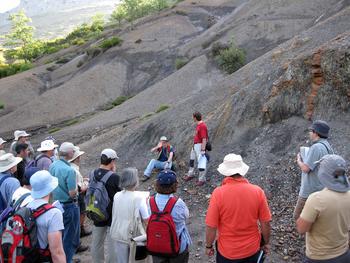 El grupo de geólogos, en un afloramiento de rocas del Devónico, en León.