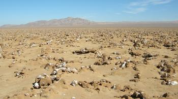 Depósitos de halita (cloruro sódico) en el desierto de Atacama (Chile). Foto: Jacek Wierzchos.