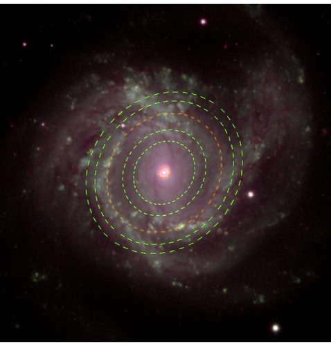 Imagen de Messier 61, una de las galaxias estudiadas. Superpuestos, están trazados los anillos de ondas obtenidos en esta galaxia. //Fuente: SLOAN + IACbia