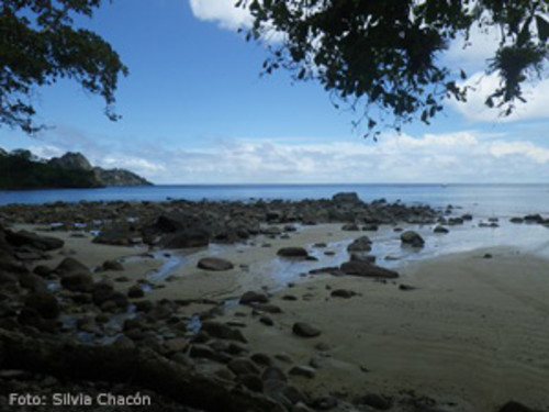 Pacífico de Costa Rica. FOTO: UNA.