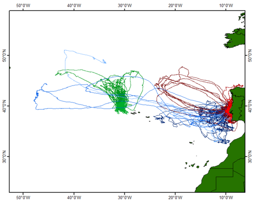 Gráfico con las rutas de 149 individuos de Calonectris borealis, en el que se muestran las áreas de alimentación de la espécie. Gráfico: Filipe Ceia.